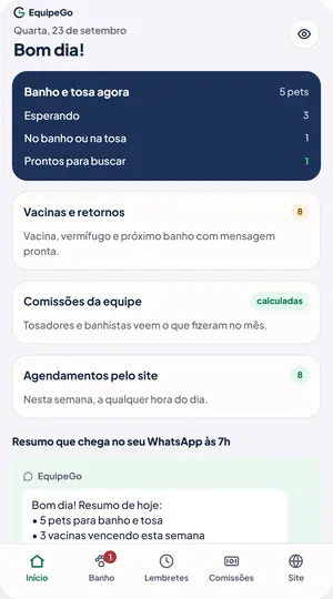 O mesmo app no celular